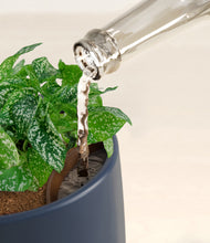 Load image into Gallery viewer, Deep Navy stand:all