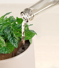 Load image into Gallery viewer, Eternal Gray stand:all