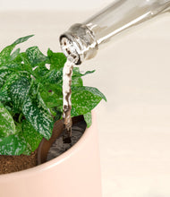 Load image into Gallery viewer, Gentle Pink stand:all