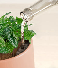 Load image into Gallery viewer, Calm Rose stand:all