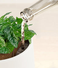 Load image into Gallery viewer, White stand:all