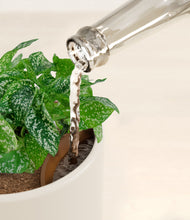 Load image into Gallery viewer, Cotton White stand:all