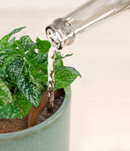 Load image into Gallery viewer, Reactive Aqua stand:all