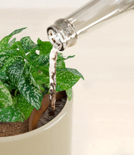 Load image into Gallery viewer, Sage Green stand:all