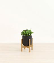 Load image into Gallery viewer, Stone Black stand:bamboo