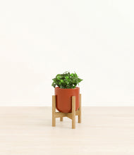 Load image into Gallery viewer, Glossy Red stand:bamboo