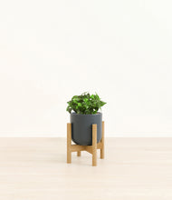 Load image into Gallery viewer, Iron Gray stand:bamboo