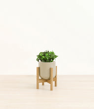 Load image into Gallery viewer, Sage Green stand:bamboo