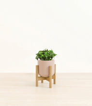 Load image into Gallery viewer, Sandy Pink stand:bamboo