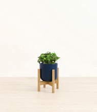 Load image into Gallery viewer, Twilight Blue stand:bamboo