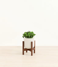 Load image into Gallery viewer, Cotton White stand:walnut