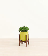 Load image into Gallery viewer, Key Lime Yellow stand:walnut