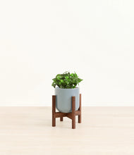 Load image into Gallery viewer, Misty Blue stand:walnut