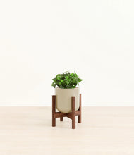 Load image into Gallery viewer, Sage Green stand:walnut