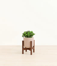 Load image into Gallery viewer, Sandy Pink stand:walnut