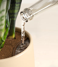 Load image into Gallery viewer, Evening Sky stand:all