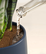 Load image into Gallery viewer, Deep Forest stand:all