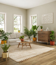 Load image into Gallery viewer, -