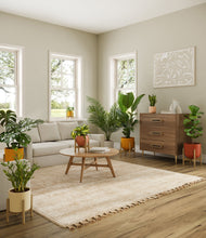 Load image into Gallery viewer, -