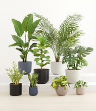 Load image into Gallery viewer, Mountain Top*****Profile