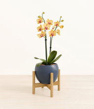Load image into Gallery viewer, Deep Navy stand:bamboo