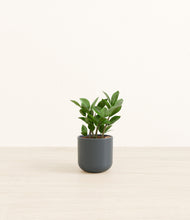 Load image into Gallery viewer, Iron Gray*****Profile