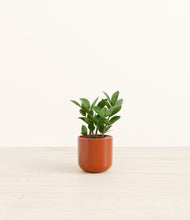 Load image into Gallery viewer, Glossy Red*****Profile