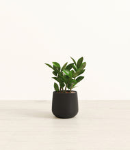 Load image into Gallery viewer, Black*****Profile