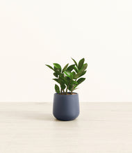 Load image into Gallery viewer, Deep Navy*****Profile