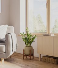 Load image into Gallery viewer, Olive stand:walnut