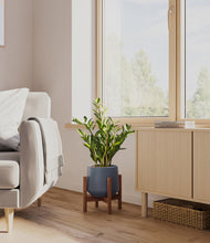 Load image into Gallery viewer, Deep Navy stand:walnut