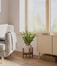 Load image into Gallery viewer, Eternal Gray stand:walnut