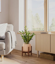 Load image into Gallery viewer, Gentle Pink stand:walnut