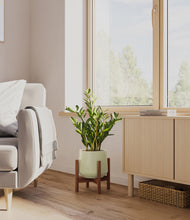 Load image into Gallery viewer, Turquoise stand:walnut