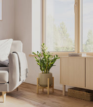 Load image into Gallery viewer, Almond Green stand:bamboo