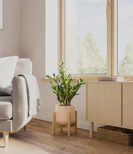 Load image into Gallery viewer, Gentle Pink stand:bamboo