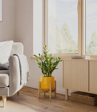 Load image into Gallery viewer, Mustard stand:bamboo
