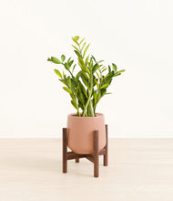Load image into Gallery viewer, Calm Rose stand:walnut