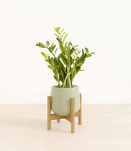 Load image into Gallery viewer, Turquoise stand:bamboo