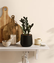 Load image into Gallery viewer, Black