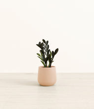 Load image into Gallery viewer, Gentle Pink*****Profile