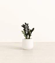 Load image into Gallery viewer, White*****Profile