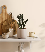 Load image into Gallery viewer, Eternal Gray