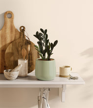 Load image into Gallery viewer, Turquoise