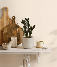 Load image into Gallery viewer, Cotton White