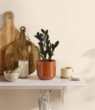 Load image into Gallery viewer, Glossy Red