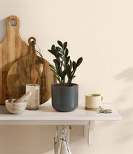 Load image into Gallery viewer, Iron Gray