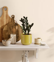 Load image into Gallery viewer, Key Lime Yellow