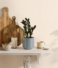 Load image into Gallery viewer, Misty Blue