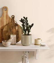 Load image into Gallery viewer, Sage Green